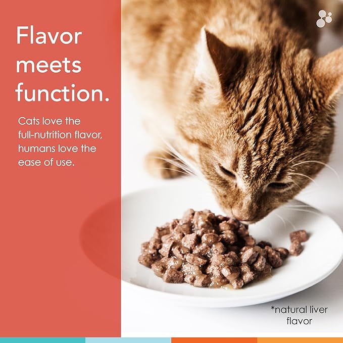 Cat Vitamins - Spectrin 16 OZ - Liquid Vitamin &amp; Antioxidant Supplement for Cats - 96 doses