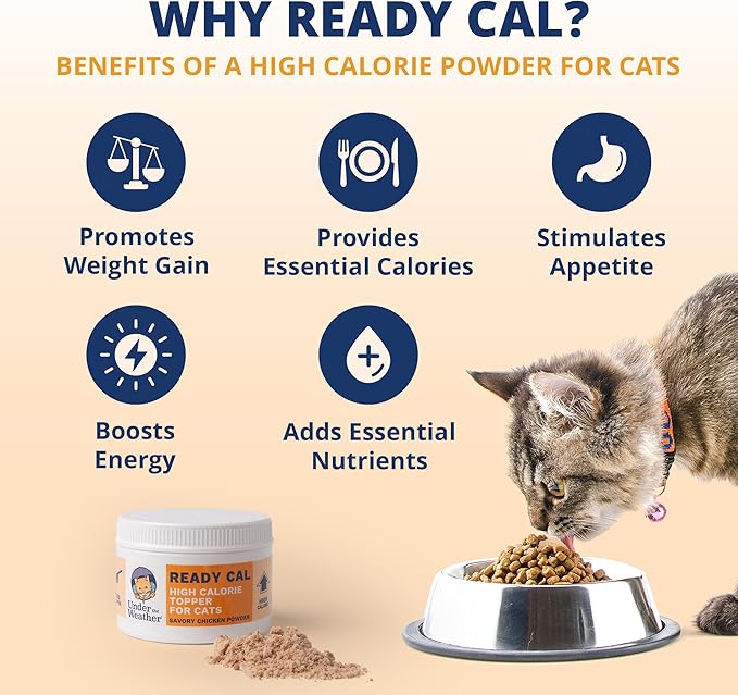 Under the Weather Ready Cal Powder for Cats | High-Calorie Weight Gainer &amp; Appetite Stimulant | Cat Energy Booster Veterinarian-Approved Pet Supplement with Vitamins &amp; Minerals | Chicken Flavor