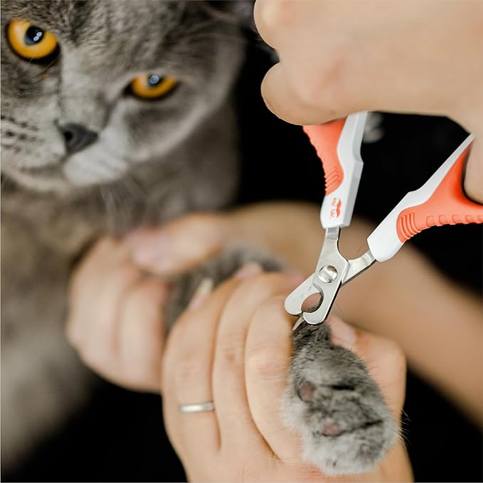 Mr. Pen Cat Nail Trimmer - Orange, Kitten &amp; Small Dog Nail Clipper, Cat Claw Trimmer