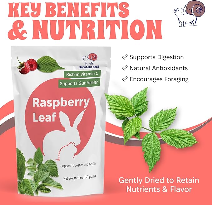 Snout and Shell Raspberry Leaf for Small Pets – 100% Natural Treat for Rabbits, Guinea Pigs, Hamsters &amp; More – Rich in Vitamin C &amp; Supports Gut Health – 1 oz (30g)