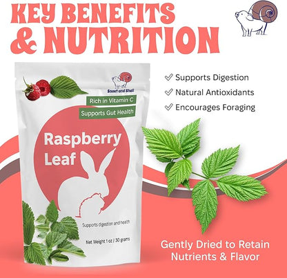 Snout and Shell Raspberry Leaf for Small Pets – 100% Natural Treat for Rabbits, Guinea Pigs, Hamsters &amp; More – Rich in Vitamin C &amp; Supports Gut Health – 1 oz (30g)