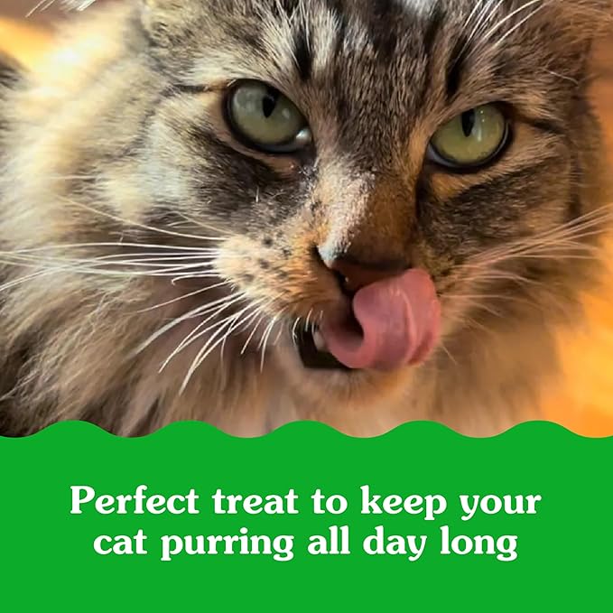 Greenies Feline Smartbites Skin &amp; Fur Health Crunchy and Soft Cat Treats, Salmon Flavor, 4.6 oz. Pack