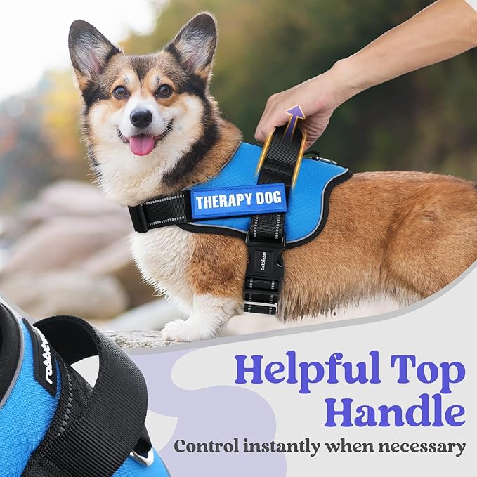 rabbitgoo Dog Harness Medium Sized, Easy On Pet Vest with One Buckle, No Pull Adjustable Service Harness with D-Ring &amp; Handle, Reflective for Safety Walking, Training, Blue, M