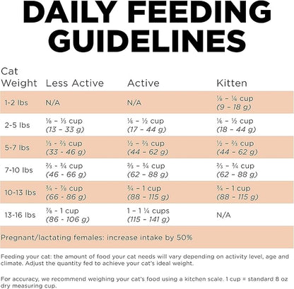 Go! Solutions Skin + Coat Care, Grain-Free Dry Cat Food, Salmon Recipe, 3 lb Bag