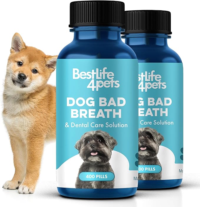 Dog Dental Care &amp; Bad Breath Remedy, Natural Dog Oral Care for Healthy Teeth, Mouth &amp; Gums, Daily Canine Breath Freshener, Plaque, Tartar Control Helps Reduce Gingivitis, Easy to Use 800 Tiny Pills