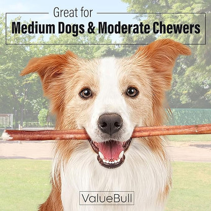 ValueBull Bully Sticks for Dogs, Medium 12 Inch, 50 Count - All Natural, Grass Fed, Single Ingredient, Long Lasting Dog Treats