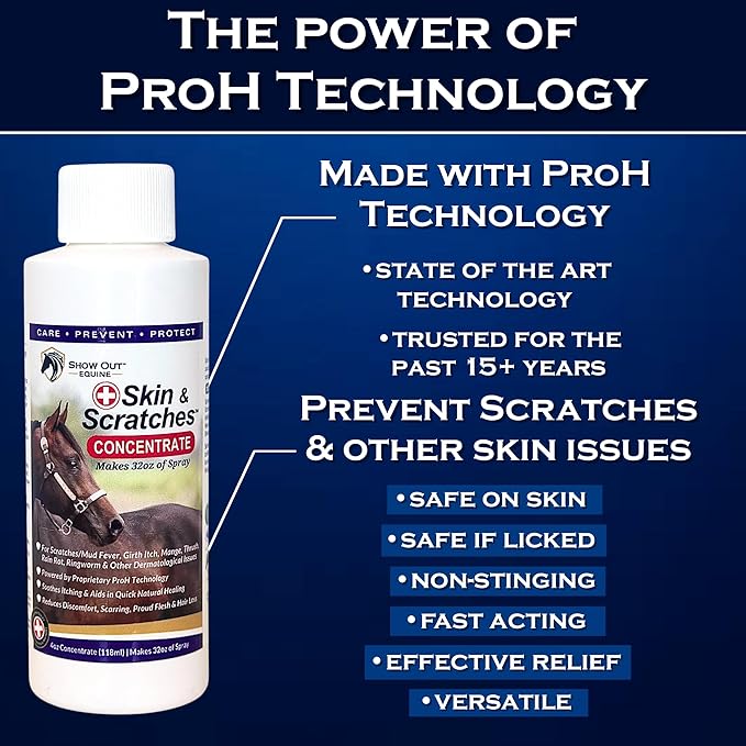 Show Out Skin &amp; Scratches 4 oz Concentrate - Fast Relief and Prevention for Horse Care. Use on Equine Scratches/Mud Fever, Girth Itch, Mange, Thrush, Rain Rot, Ringworm, etc w/Empty Spray Bottle