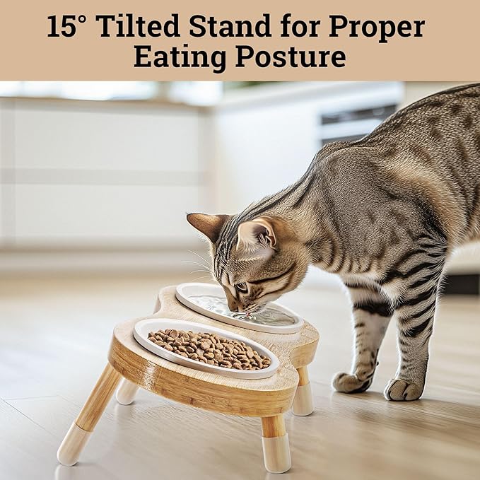 Elevated Cat Bowls - Set of 2 Ceramic Pet Food Bowls with Anti-Slip Bamboo Stand - 15 Degree Titled - Raised Dog Bowl for Small Dogs - Raised Cat Bowl Stand - Pet Feeding Station for Cats &amp; Small Dogs