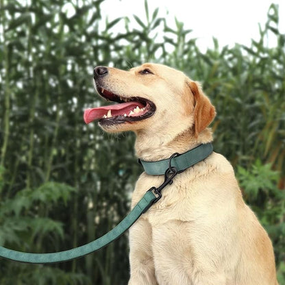 Didog Soft Padded Leather Dog Collar and Leash Set, Adjustable Dog Lead and Collar Set with Metal Buckle, Breathable Pet Collars with 4FT PU Leather Leash for Small Medium Dogs, Green, M
