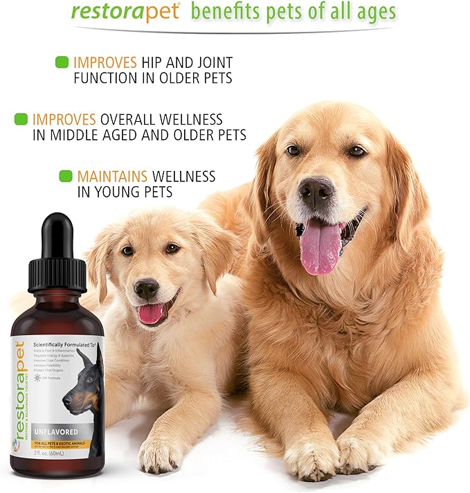 RestoraPet 1-Pack Dog &amp; Cat Beef Liquid Multivitamin | Dog Arthritis Pain Relief | Hip &amp; Joint Vitamins for Dogs - Anti Inflammatory Supplement for Dogs &amp; Cats | Organic &amp; Non-GMO, Vet Approved