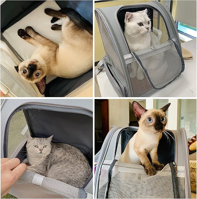 Texsens Pet Backpack Carrier for Small Cats Dogs | Ventilated Design, Safety Straps, Buckle Support, Collapsible | Designed for Travel, Hiking &amp; Outdoor Use (Light Gray)