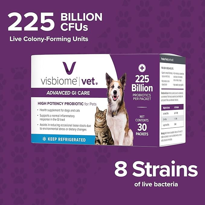 Visbiome® Vet Advanced GI Care Probiotic for Dogs &amp; Cats – 225B CFU, 8-Strain Formula – Veterinarian Recommended, Clean Label Certified – 60 Packets