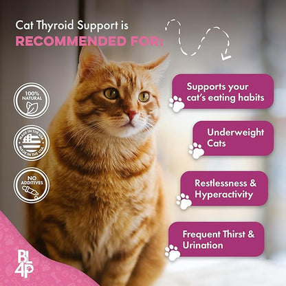 Cat Weight Gain &amp; Hyperthyroidism Treatment, Safe and Effective Cat Appetite Stimulant, Thyroid and Metabolic Support, Weight Management Remedy, 400 All-Natural Odorless, Tasteless Pills