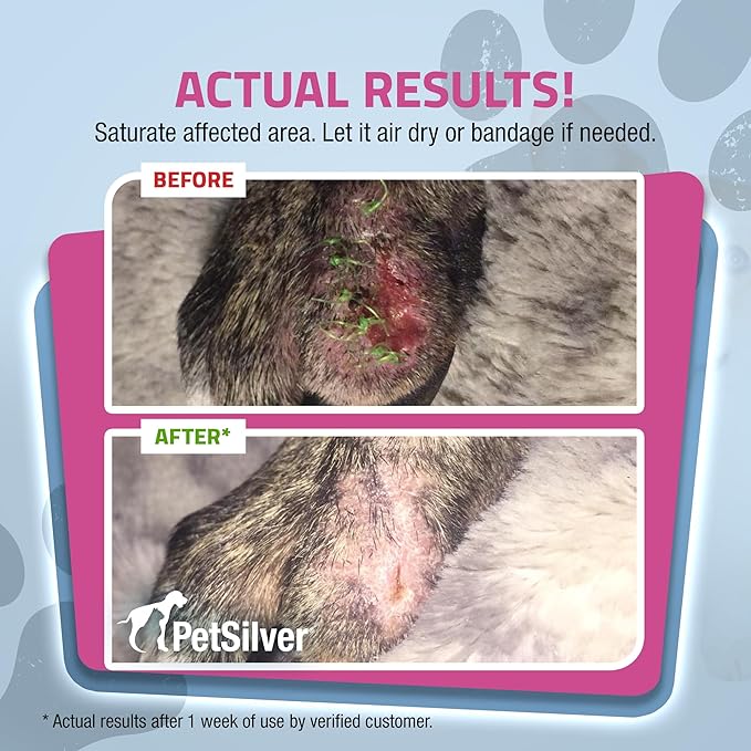 PetSilver Wound &amp; Skin Spray - Dog Wound Spray, Hot Spot, Allergy Relief for Dogs, Itch Spray for Cats - Natural Skin Soother - Chelated Silver, Superior to Colloidal Silver - Made in USA - 8 fl oz