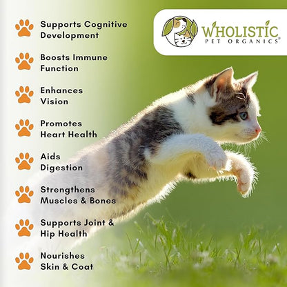 Wholistic Pet Organics Feline Complete Organic Pumpkin - 4 Oz - Multivitamin &amp; Probiotic Powder for Cats - Natural Cat Food &amp; Digestive Support