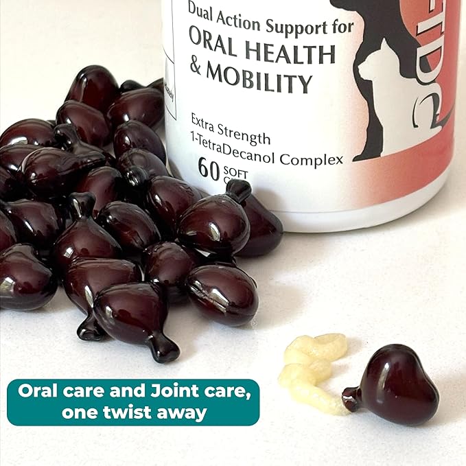 1TDC WorksSoWell Dual Action Joint Supplement for Dogs &amp; Cats - Hip and Joint Supplement for Large Breed &amp; Small Breed - Also Great for Oral Health - Muscle &amp; Stamina Recovery &amp; Arthritis - 60ct