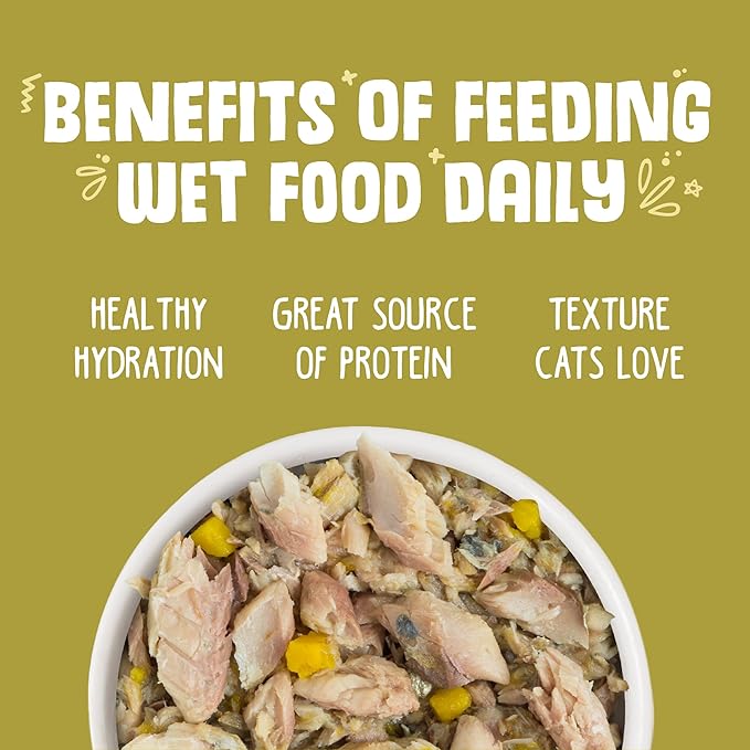 Weruva Classic Cat Food, Meow Luau with Mackerel &amp; Pumpkin in Gravy, 3oz Can (Pack of 24)