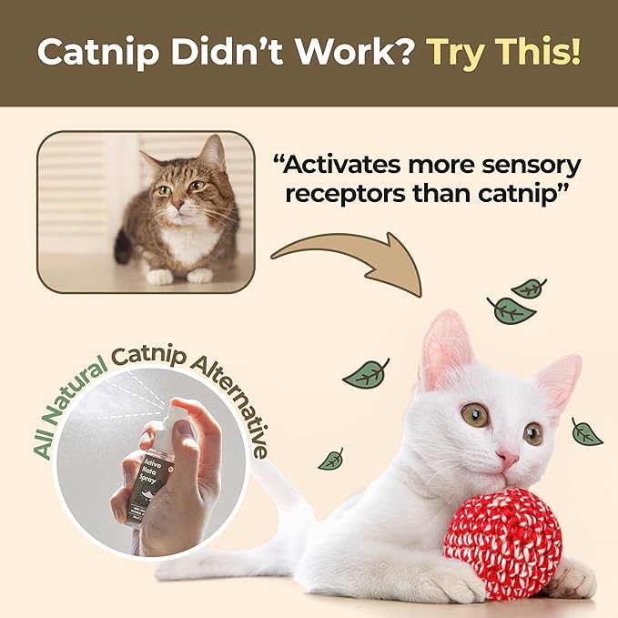 JAYU PET Active MATA Spray – 100% Natural Silvervine Spray for Cats, Liquid Catnip Alternative, Calming Spray for Indoor Kittens, Boosts Play &amp; Engagement, Reduces Stress (1 fl oz)
