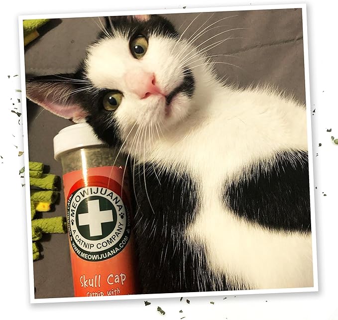 Meowijuana Jump &