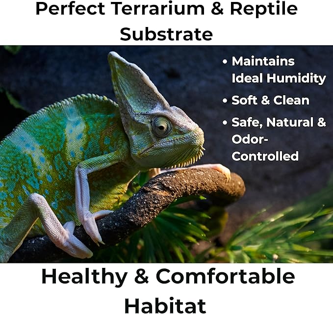 Peat Moss for Plants – Organic Sphagnum Peat Moss for Orchids, Terrariums, Seed Starting, Reptiles &amp; Potting Soil Mix (3 quarts)