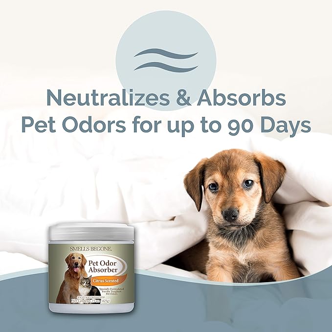 SMELLS BEGONE Air Freshener Pet Odor Absorber Gel - 15 oz, Pack of 2 - Absorbs and Eliminates Odor in Pet Areas, Bathrooms, Cars, &amp; Boats - Made with Essential Oils - Citrus Scent