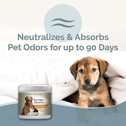 SMELLS BEGONE Air Freshener Pet Odor Absorber Gel - 15 oz, Pack of 2 - Absorbs and Eliminates Odor in Pet Areas, Bathrooms, Cars, &amp; Boats - Made with Essential Oils - Citrus Scent