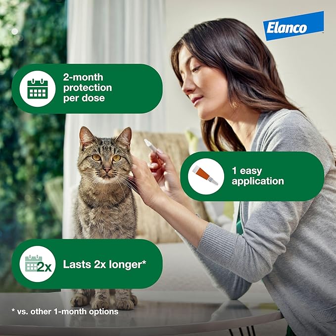 Advantage XD Small Cat Flea Prevention &amp; Treatment For Cats 1.8-9lbs. | 4-Topical Doses, 2-Months of Protection Per Dose