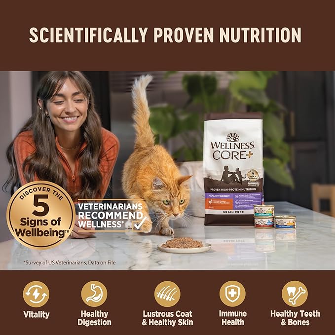 Wellness CORE+ Indoor Pate Adult Wet Cat Food, Natural, Protein-Rich, Grain Free, 2.8 Ounce, 12 Pack (Tuna &amp; Tilapia)