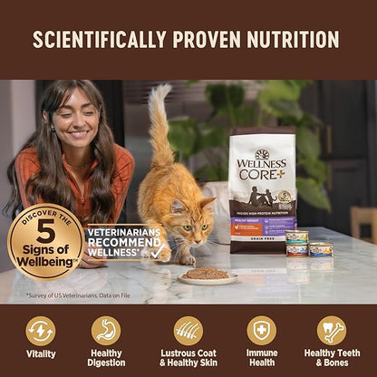 Wellness CORE+ Hairball Pate Adult Wet Cat Food, Natural, Protein-Rich, Grain Free, 2.8 Ounce, 12 Pack (Chicken)
