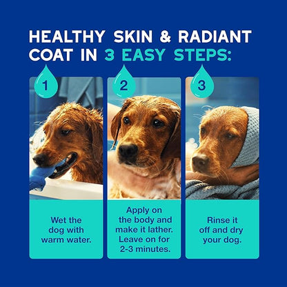 DOUXO® Skin &amp; Coat SPA - Ultra-Safe Odor Control Dog Shampoo for Smelly Dogs, 16 fl oz, Cleans and Hydrates The Skin, Removes Odor, Leaves The Coat Soft and Smelling Great, Skin-Friendly Formula