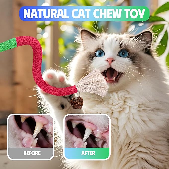 Cat Toys Chew Rope &amp; Silvervine Sticks for Bored Indoor Adult Cats, 2Pcs Interactive Catnip Toys for Cats with Refillable Natural Catnip Bag for Teeth Cleaning
