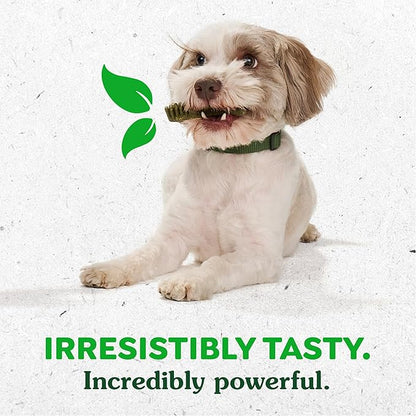 Greenies Petite Dental Dog Treats, Pumpkin Spice Flavor, Limited Edition, 12 oz. Pack (20 Treats)