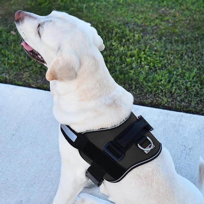 Dogline Dog Harness, Reflective No-Pull Adjustable Vest with Handle for Walking, Training, Breathable, No - Choke Harness for Small, Medium or Large Dogs Room for Patches Girth 18 to 24 in Black