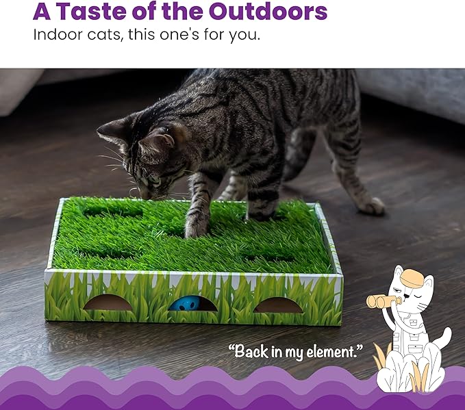 Catstages Grass Patch Hunting Box Interactive Bat &amp; Swat Game for Indoor Cats, 3 Jingle Balls Included, Green