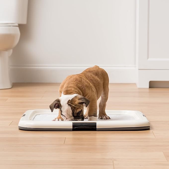 IRIS USA Pee Pad Holder - For Potty Training Regular Sized Dog &amp; Puppy Pee Pads, Secured Latches, Non-Skid Feet, Leak Protection, Fits 22"x22" Pad or Larger, Square, Dark Gray