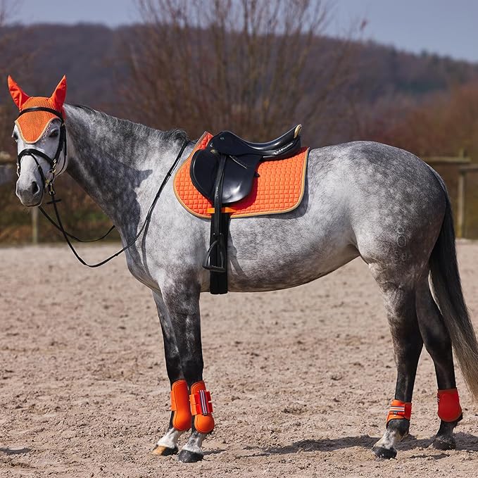 HORZE Adepto Padded All Purpose Quilted Equestrian Saddle Pad for Horses with Two-Tone Trim