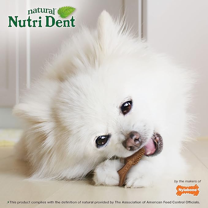 Nylabone Nutri Dent Dog Dental Treats - Natural Dog Teeth Cleaning &amp; Breath Freshener - Dental Treats for Dogs - Filet Mignon Flavor, Mini (78 Count)