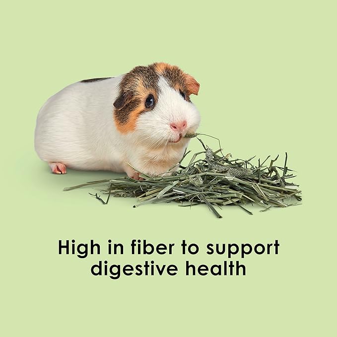 Kaytee All Natural Timothy Hay for Guinea Pigs, Rabbits &amp; Other Small Animals, 6 Pound