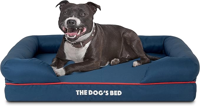 The Dog’s Bed, Medium Blue/Red 30x23.5, Memory Foam, Pain Relief: Arthritis, Hip &amp; Elbow Dysplasia, Post Surgery, Lameness, Supportive, Calming, Waterproof Washable Cover, Veterinary Approved