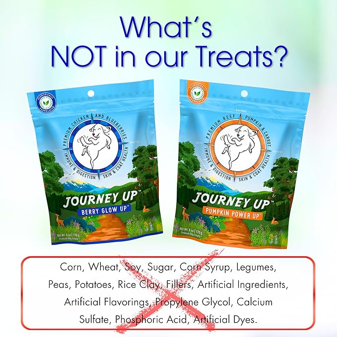 HappyTails Journey Up, Pumpkin Power Up Jerky Treats for Dogs with Beef, Pumpkin &amp; Carrots-Made in USA-Prebiotics for Gut &amp; Immune Health, Omega 3 &amp; 6 for Skin &amp; Coat, Small-Large Dogs, 6 oz.