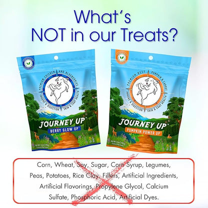 HappyTails Journey Up, Pumpkin Power Up Jerky Treats for Dogs with Beef, Pumpkin &amp; Carrots-Made in USA-Prebiotics for Gut &amp; Immune Health, Omega 3 &amp; 6 for Skin &amp; Coat, Small-Large Dogs, 6 oz.