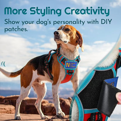 Eagloo Dog Harness for Large Dogs, Easy Wearing with 3 Buckles, Adjustable No Pull Pet Harness with 2 Rings for Walking, No Chock Reflective Soft Padded Vest with Control Handle, Red &amp; Teal, XL