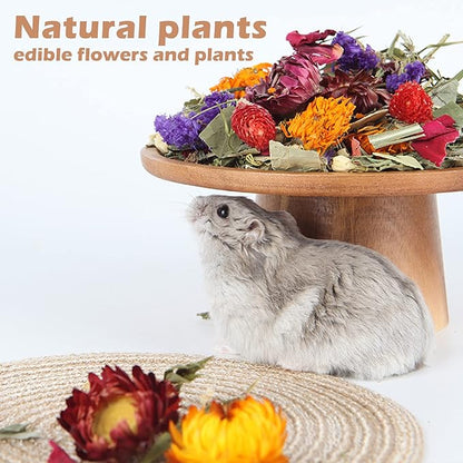 Natural Ear of Grain Flower&amp;Herb Bedding Mate Habitat Decor, Adding Fun Hamster Accessories for Hamsters Gerbils Lemming