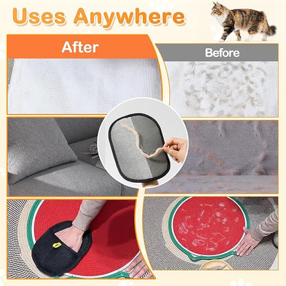 Pet Hair Removal Glove, 2025 New Reusable Electrostatic Glove for Cats &amp; Dogs, Effective Pet Hair Remover for Furniture, Couch, Carpet, and Car Seats (3PCS)