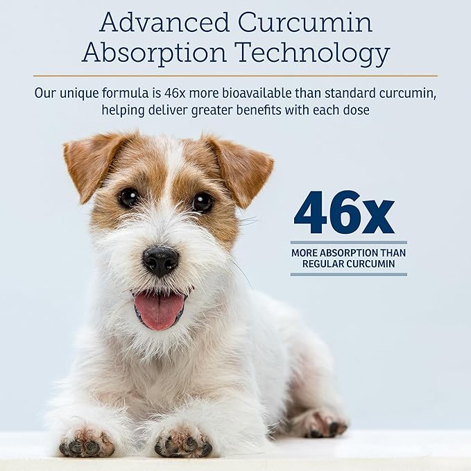 Rx Vitamins CurcuWIN - Curcumin for Dogs &amp; Cats - Vitamins and Supplements, Allergy Relief - Provides Immune Support &amp; Aids Digestive Support - Joint Supplement - 90ct