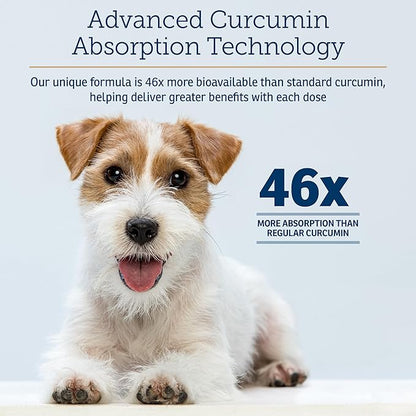 Rx Vitamins CurcuWIN - Curcumin for Dogs &amp; Cats - Vitamins and Supplements, Allergy Relief - Provides Immune Support &amp; Aids Digestive Support - Joint Supplement - 90ct