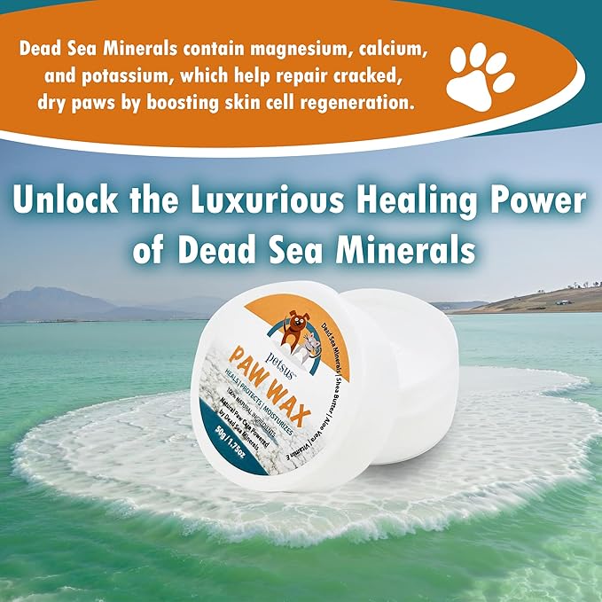 Natural Dog Paw &amp; Nose Balm – Moisturizing Paw Wax with Dead Sea Minerals | Lick-Safe, Organic Balm for Dry, Cracked Paws &amp; Dry Noses | Heat, Ice &amp; Terrain Protection – 1.75 oz