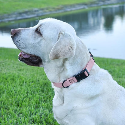 Dogline Biothane Waterproof Dog Collar with Quick Release Buckle Strong Coated Nylon Webbing with Odor- Proof for Easy Care Easy to Clean Fits Small Medium Large Dogs, Lavender 1" W 15-23" L