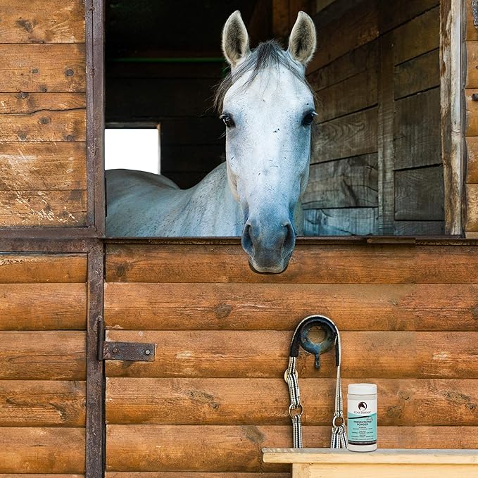 Coat Defense Daily Preventative Powder for Horses - Safe &amp; Effective Equine Sweet Itch, Skin Funk, Scratches, &amp; Rain Rot Treatment - Dry Shampoo for Horses, 8 oz Formula with All Natural Ingredients