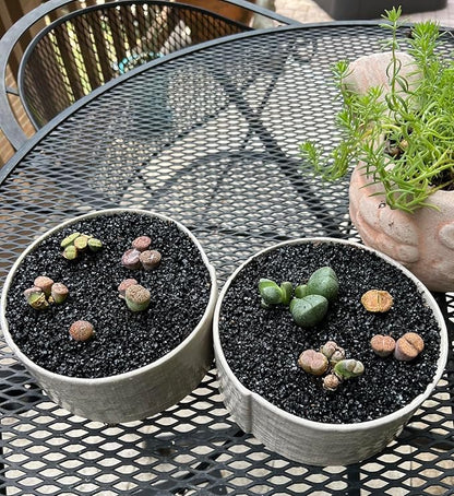 TOYPOPOR 6lb Succulents and Cactus Black Sand, Décor &amp; Additive Tiny Stones, DIY Rocks Gravel, Decorative Pebbles for Bonsai, Fairy Gardening, Terrarium, Vases Fillers, Top Dressing